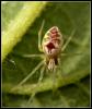 27131 – Photo : Arlette Licois – France (37)