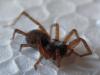 270532 – Photo : Thibaud Glinez – France (64)