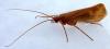 270804 – Photo : Cyril Coursier – France (05)