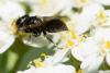 270141 – Photo : Jessica Joachim – France (09)