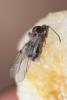 270368 – Photo : florent besson – France (18)
