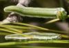 270646 – Photo : éric Pensa – France (13)