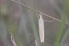 270426 – Photo : Simon Thevenin – France (13)