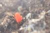 270651 – Photo : Simon Thevenin – France (13)