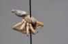 270720 – Photo : patrick derennes – France (91)