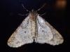 270935 – Photo : Catherine Reymonet-Smitten – France (19)