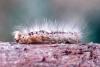 270379 – Photo : jean-claude josien – France (19)