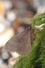 271114 – Photo : Mathieu Junger – France (55)