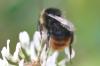 271437 – Photo : Jean-Sébastien Carteron – France (23)