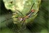 271016 – Photo : Benoit Guillon – Vietnam