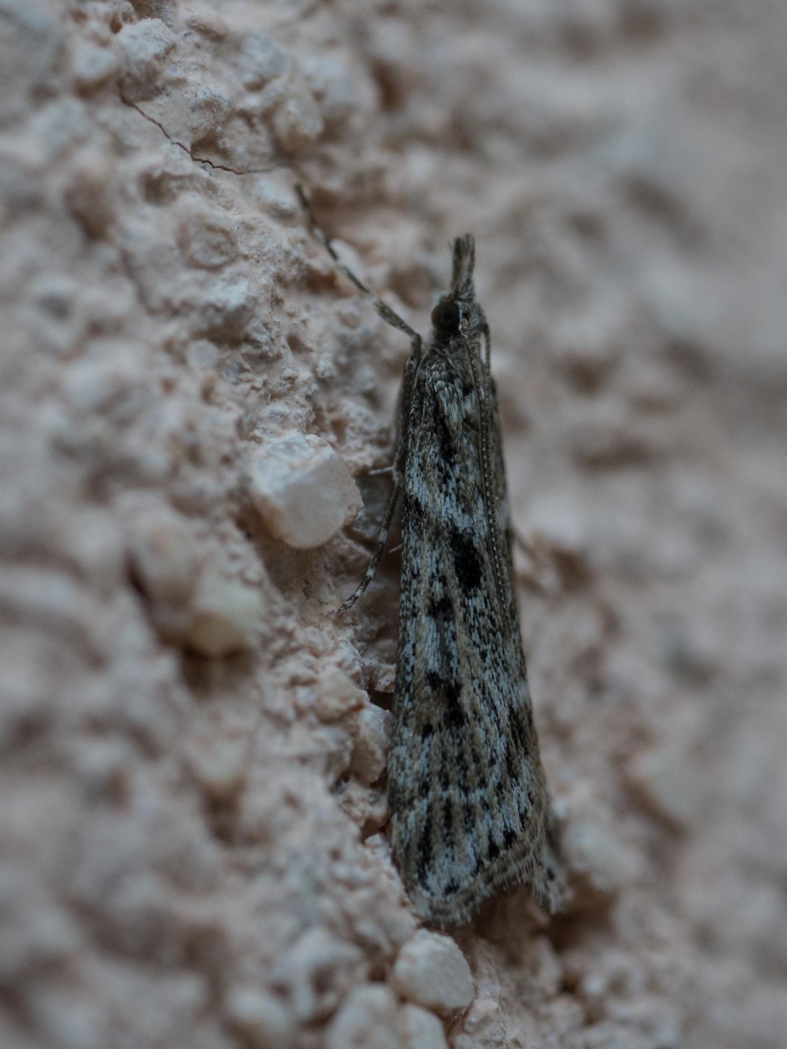 On photographie ce que l'on peut _1130251
