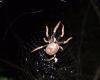272171 – Photo : Laetitia Berquer – Madagascar