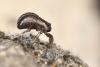 272382 – Photo : Bernard Nogues – France (83)