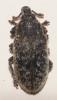 272400 – Photo : alain Roujas – France (34)