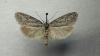 273881 – Photo : Pierre Cabrol – France (66)