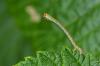 273264 – Photo : Christophe Quintin – France (22)