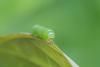 273943 – Photo : Johan Verstraeten – Belgique