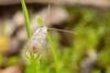 273860 – Photo : Jessica Joachim – France (81)