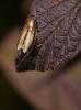 273776 – Photo : Bisetti Jean – Italie