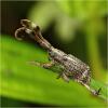 273516 – Photo : Benoit Guillon – Vietnam