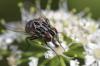 274725 – Photo : Michel Renou – France (91)