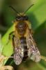 274968 – Photo : Olivier Pouvreau – France (86)