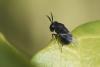 274227 – Photo : Bernard Nogues – France (83)