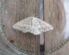 274451 – Photo : Alfredo Herrero – Espagne