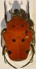 274243 – Photo : Christian Berquer – Madagascar