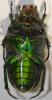 274841 – Photo : Christian Berquer – Madagascar