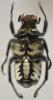 274030 – Photo : Christian Berquer – Madagascar