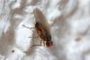 274170 – Photo : Christophe Quintin – France (22)