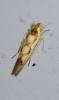 274991 – Photo : Jean-Michel GAREL – France (89)