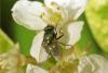 274340 – Photo : Lionel Casset – France (77)