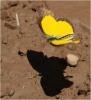 274686 – Photo : Benoit Guillon – Namibie