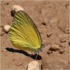 274685 – Photo : Benoit Guillon – Namibie