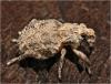 274311 – Photo : Benoit Guillon – Namibie