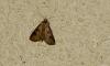 275373 – Photo : Bisetti Jean – France (74)