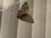 275573 – Photo : Gould24 – France (24)
