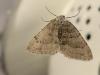 275572 – Photo : Gould24 – France (24)