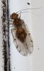 275946 – Photo : Jean-Michel GAREL – France (89)