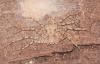 275417 – Photo : alain Roujas – Maroc