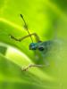 275325 – Photo : Florian ALONSO – France (69)
