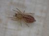 275200 – Photo : Yannick Mourgues – France (48)