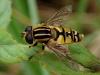 275847 – Photo : Guillaume D – France (21)