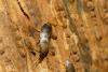 275380 – Photo : florent besson – France (18)