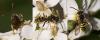 275911 – Photo : éric Pensa – France (13)