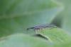 276811 – Photo : Simon Thevenin – France (13)