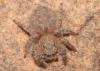 276328 – Photo : alain Roujas – Maroc