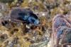 276553 – Photo : Norbert Verneau – Mayotte